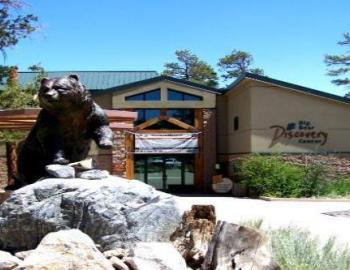 Nature Walks at Big Bear Discovery Center