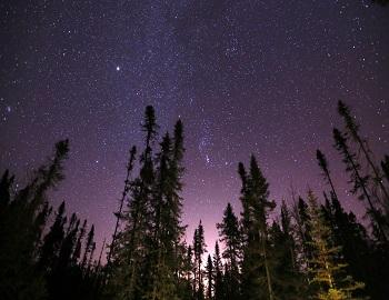 Mountain Night Sky Stargazing in Big Bear