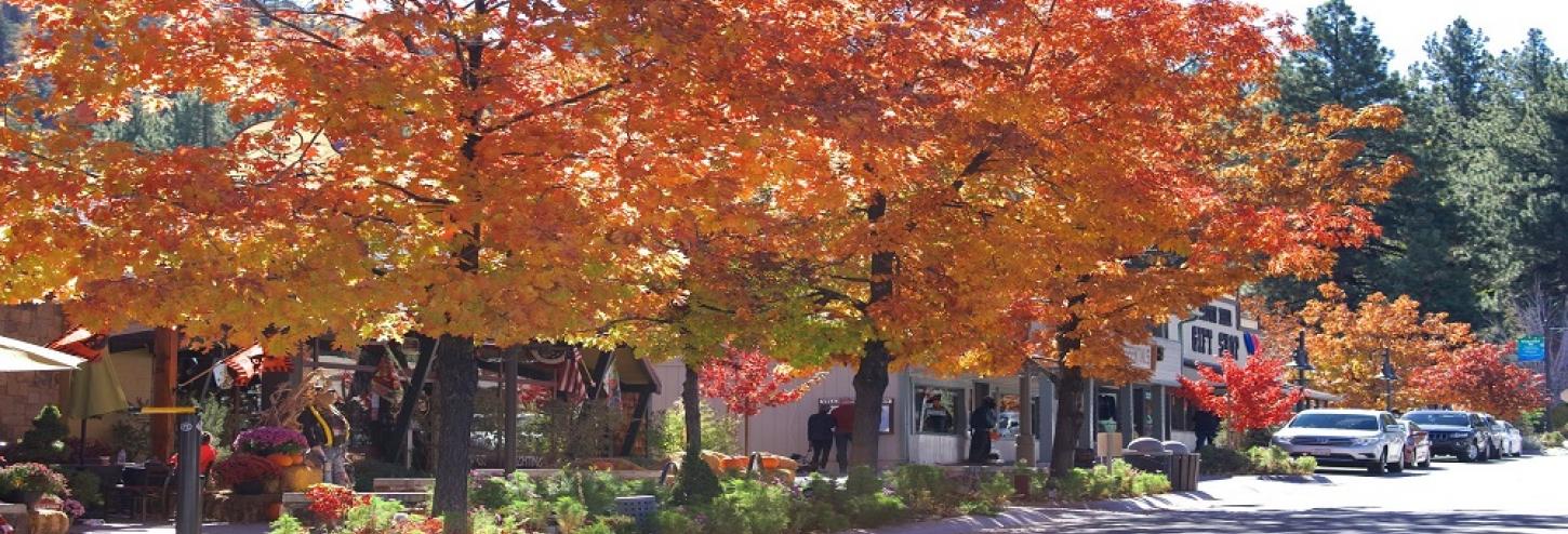 Big Bear Valley Scavenger Hunt