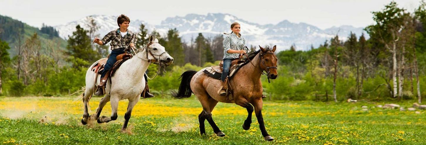 Mountain Horseback Riding in Big Bear