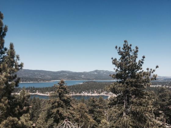 Castle Rock Trail View
