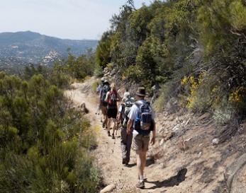 Mountain Trail Hiking in Big Bear Mountain Trail Hiking in Big Bear