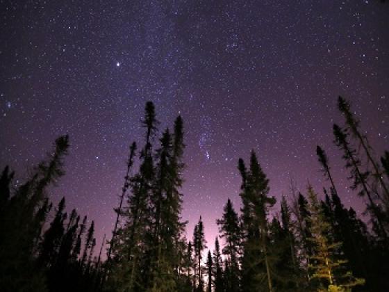 Mountain Night Sky Stargazing in Big Bear