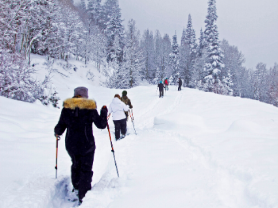 Snowshoeing in Big Bear