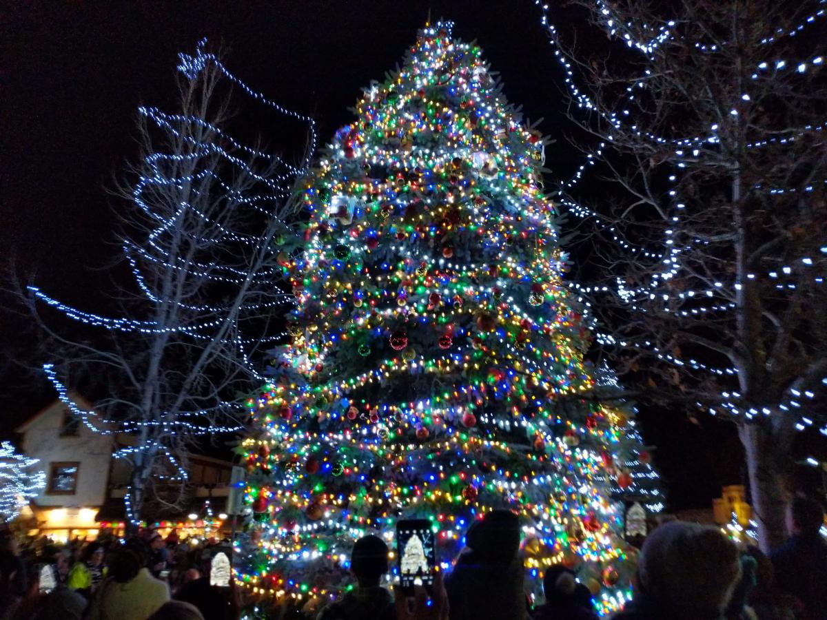 Big Bear Tree Lighting Big Bear Cool Cabins