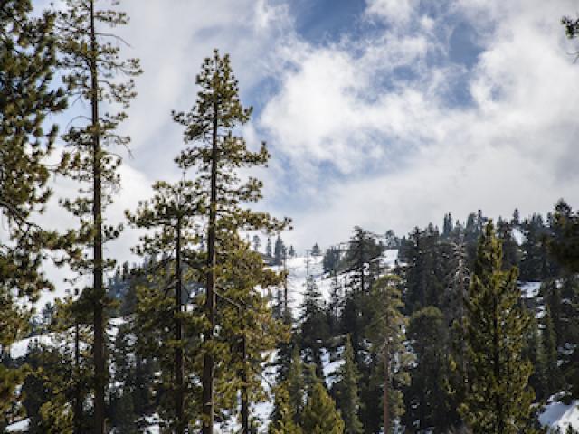 snow on Big Bear, Ca mountains 