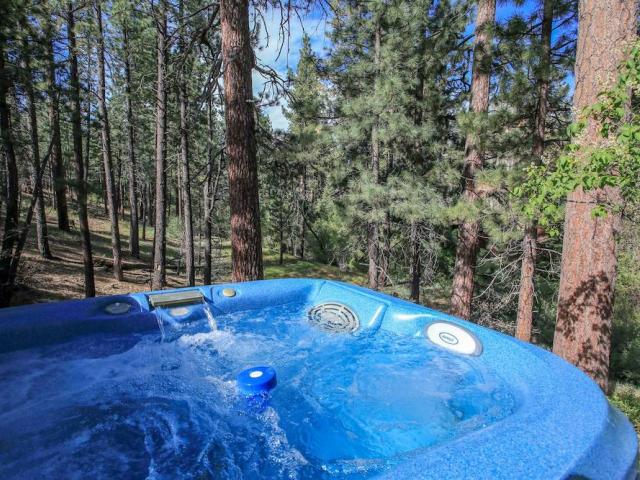 hot tub at cabin in woods